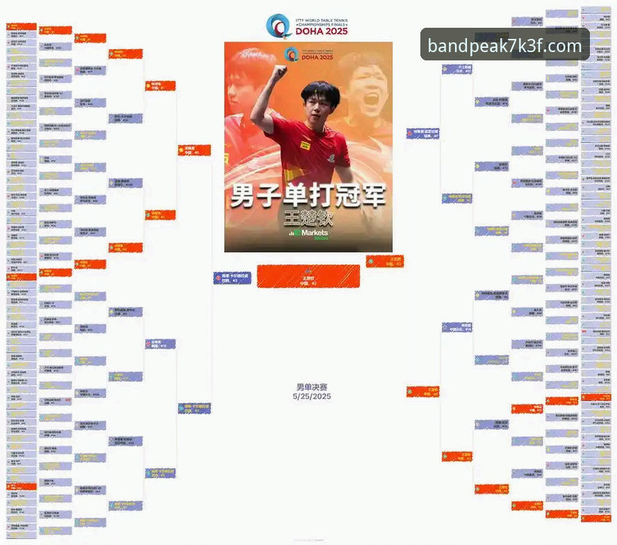中国男乒世乒赛小组赛取胜：从半岛体育平台完整观赛指南看竞技策略