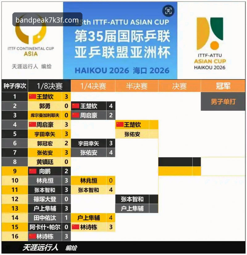 中国男乒世乒赛小组赛取胜：从半岛体育平台完整观赛指南看竞技策略