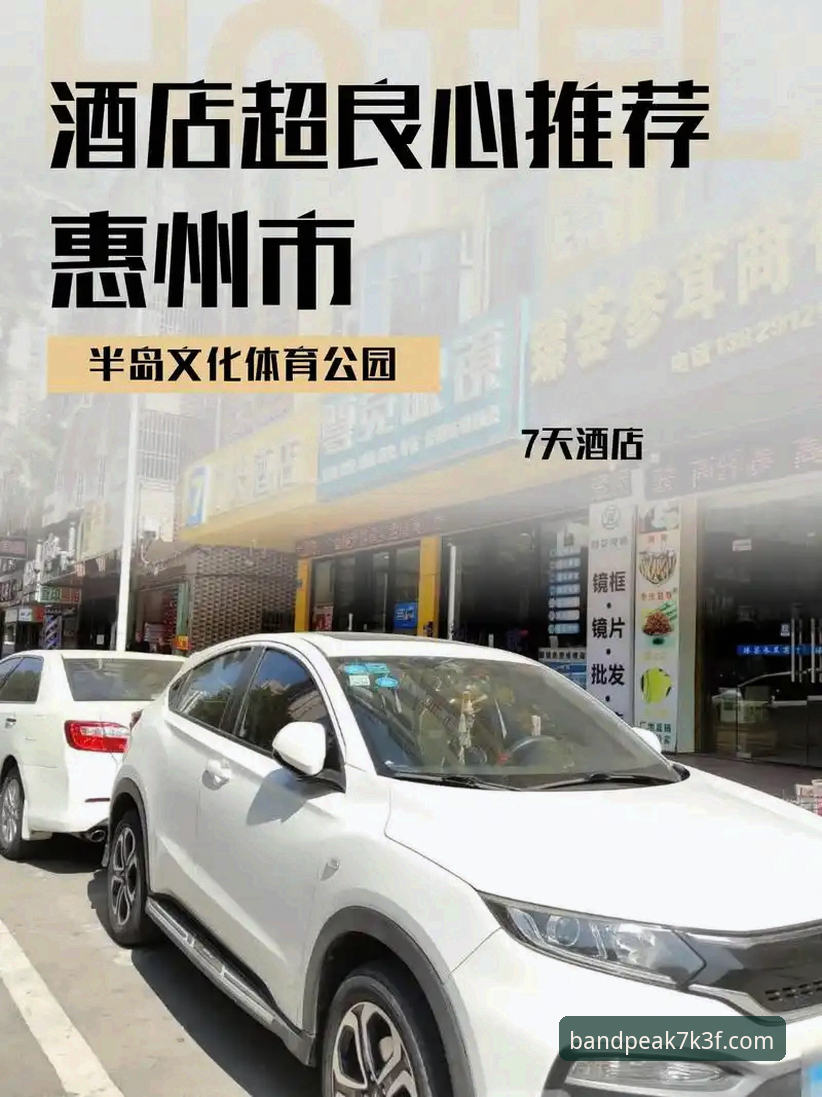 半岛体育平台竞猜功能实用指南：从入门到精通的必备知识